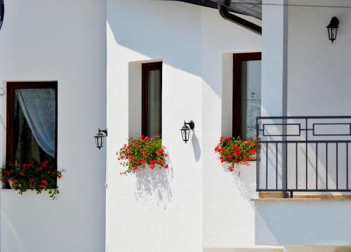 a white building with flowers in window boxes at Casa Mora in Deva