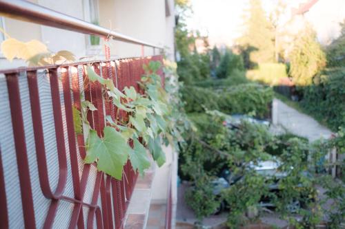 a balcony with a bunch of plants on it at Fredry 15F in Krakow