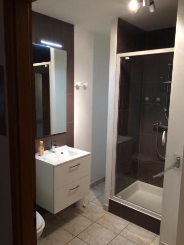 een badkamer met een wastafel, een douche en een toilet bij Résidence Vénus in Eguisheim