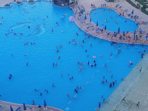 a group of people swimming in a swimming pool at Chalets in Porto Sokhna Pyramids in Ain Sokhna