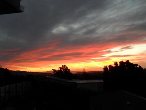 a sunset in the sky with trees in the foreground at Raumati Sands Resort in Paraparaumu Beach