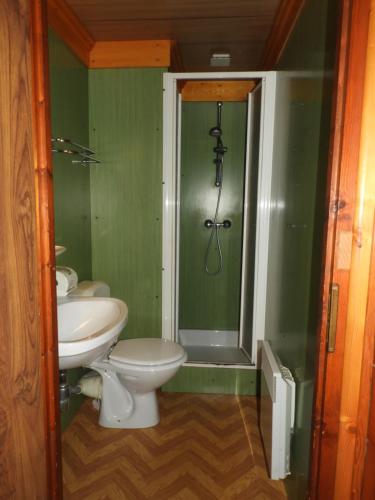 a bathroom with a toilet and a sink and a shower at 1 Authentique chalet, le Mirador in Les Gets