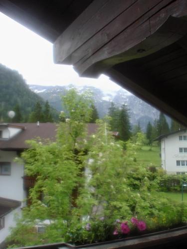 a view from a window of a house with trees at Haus Alpenblick in Pertisau