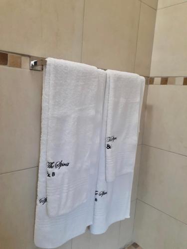 three towels with writing on them hanging in a bathroom at Vikamana Guest House in Ulundi