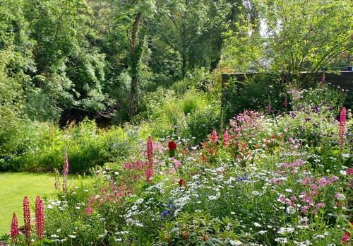 a garden filled with lots of different colored flowers at Brecon Boutique Breaks River Run in Sennybridge