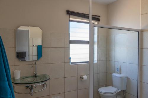 a bathroom with a toilet and a sink and a mirror at Blue Star Villa in Tergniet