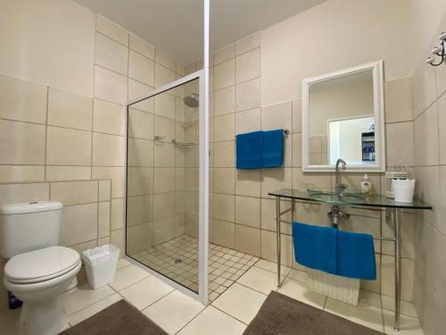 a bathroom with a shower and a toilet and a sink at Blue Star Villa in Tergniet