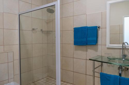 a bathroom with a shower with a glass door at Blue Star Villa in Tergniet