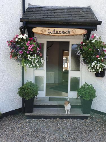 a cat sitting in front of a door with flowers at Culacrick in Banavie