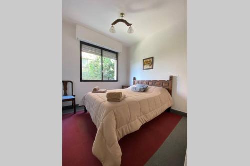 - une chambre avec un lit et une fenêtre dans l'établissement Departamento Céntrico a metros de Plaza Belgrano, à San Salvador de Jujuy