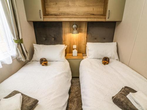 two cats sitting on two beds in a room at Hedgehog Lodge in Carnforth