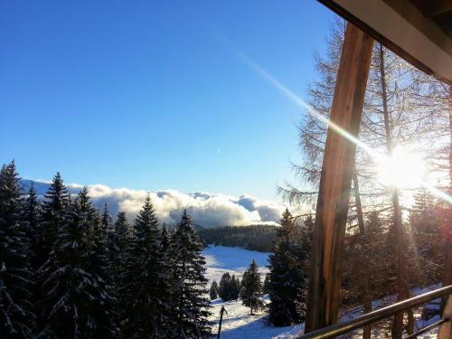 CHAMROUSSE-SPORT&DETENTE appartement 6 couchages avec superbe vue