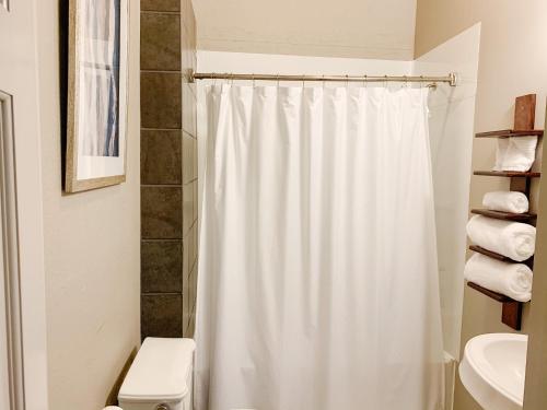 a bathroom with a shower curtain and a toilet at The Loft on the Square in Magnolia