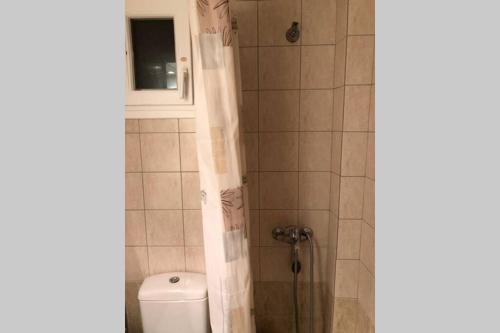 a bathroom with a shower curtain and a toilet at Aris Apartment in Neo Rysio in Néon Rýsion