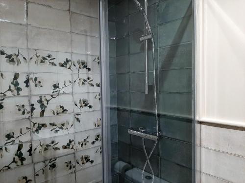 a shower with a bunch of bugs on the wall at Apartamentos Celestina by gaiarooms in Salamanca