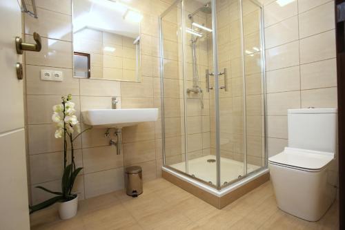 a bathroom with a shower and a sink and a toilet at Restaurant penzion u Buchlovskeho zamku in Buchlovice