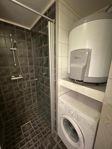 a bathroom with a shower and a washing machine at Novatind - Studio apartment with free parking in Narvik