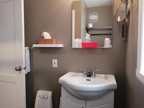 a bathroom with a sink and a mirror at Gîte Shoreline de la terre à la mer in Rivière-la-Madeleine