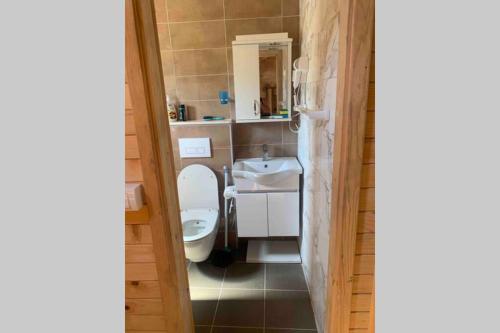 La salle de bains est pourvue de toilettes et d'un lavabo. dans l'établissement Cheerful cabin in Ada bojana, à Ulcinj