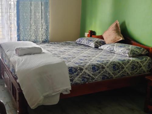a bed with two pillows on it in a room at Akash homestay in Hampi
