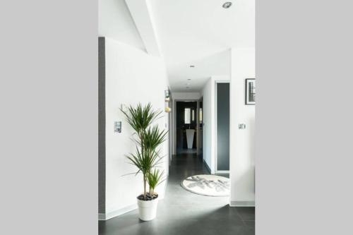 un pasillo con paredes blancas y macetas en La Villetta G Blotzheim - Appartement de Standing en Blotzheim