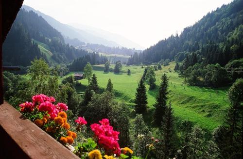 a view of a valley with flowers on a hill at Bauernhof Pergila in Maria Luggau