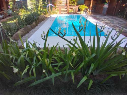 a swimming pool in a yard with plants at Pousada da Terra Paraty in Paraty