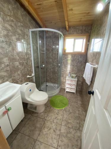 a bathroom with a shower and a toilet at Cabañas Teresa Frutillar in Frutillar