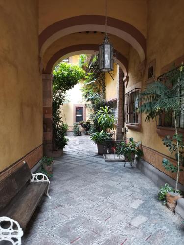 a courtyard with a bench and plants in a building at Lele Room Downtown Querétaro in Querétaro