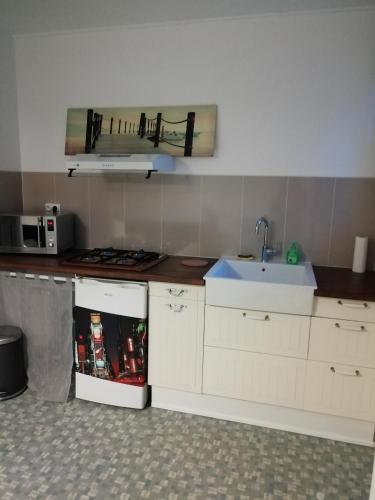 a kitchen with a sink and a counter top at Studio en plein cœur de l'île de loisirs de Buthiers in Buthiers