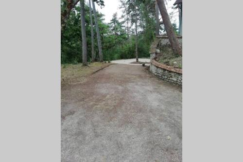 a dirt road in a forest with trees at Studio en plein cœur de l'île de loisirs de Buthiers in Buthiers