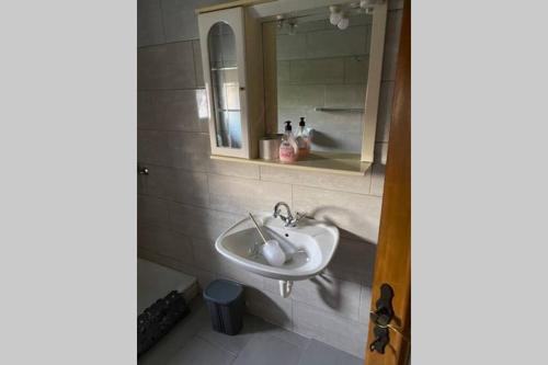 a bathroom with a sink and a mirror at Oaza miru v sožitju z naravo in Sveti Jurij ob Ščavnici