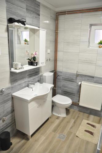 Koupelna v ubytování Apartmani Ana Vukovar