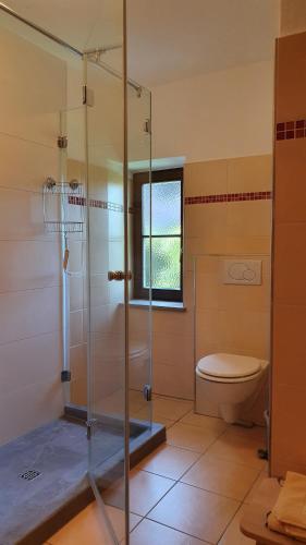 a bathroom with a shower and a toilet at HAUS WALD und SEE - WASSERBURG in Wasserburg