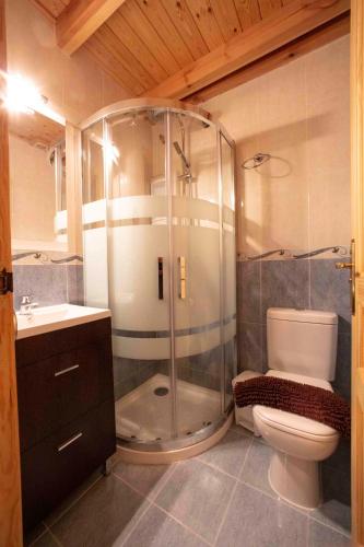 a bathroom with a shower and a toilet and a sink at El Capricho in Villamiel