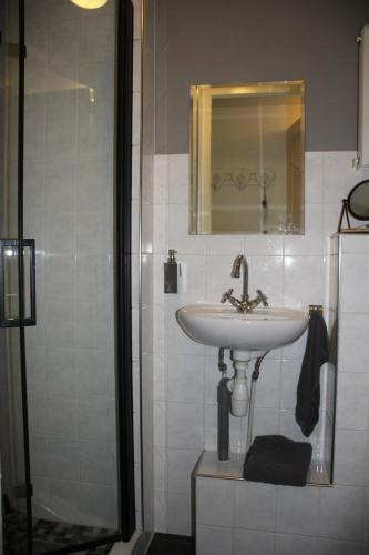 a bathroom with a sink and a mirror and a shower at Studio Bed and Breakfast Zaans Moment in Assendelft