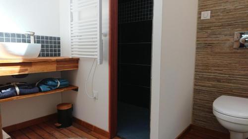 a bathroom with a toilet and a sink at Moulin de Vibrac in Vibrac