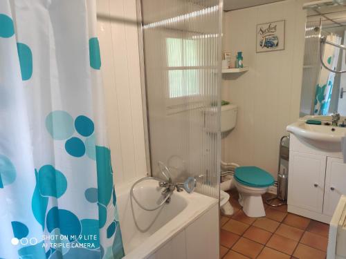 Agréable chalet de 52m2 au verdon-sur-mer في لي فيردون سور ميه: حمام مع دش ومرحاض ومغسلة