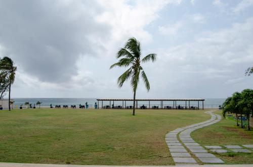 a palm tree in a park next to the ocean at Jumeirah Beachfront in Mombasa