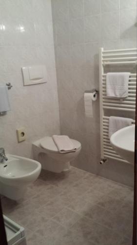 a white bathroom with a toilet and a sink at Hotel Rodes in Ortisei