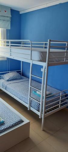 two bunk beds in a room with blue walls at Condado de alhama, naranjos 8 in Alhama de Murcia