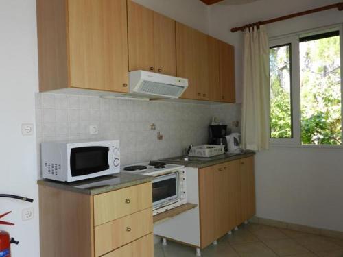 a kitchen with a stove and a microwave at Georgia in Nikiana