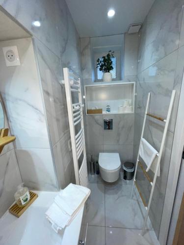 a white bathroom with a toilet and a shower at Appartement François 1er in Vichy
