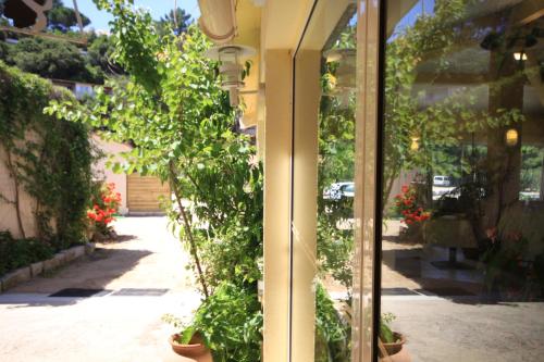 a window of a house with plants in pots at Hôtel Sampiero in Propriano