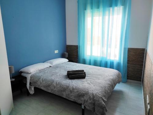 a blue room with a bed with a bag on it at Apartamentos CENTRO HISTORICO in Málaga
