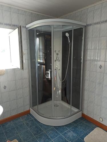 a shower with a glass door in a bathroom at Haus Alexander in Hart bei Graz