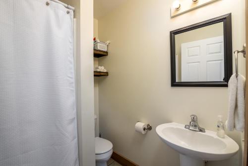a bathroom with a sink and a mirror and a toilet at White Pine . Trailside Lodging in Millersburg
