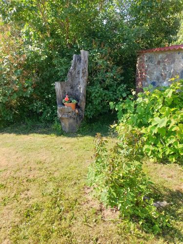 Taman di luar Rannamõisa Puhkeküla