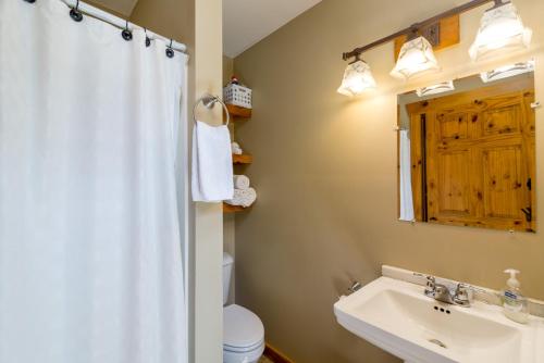 a bathroom with a sink and a toilet and a mirror at Scotch Pine . Trailside Lodging in Millersburg
