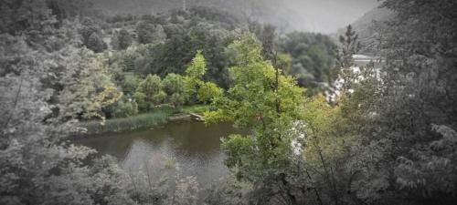 a view of a lake in the middle of a forest at Vila Eva in Međuvršje